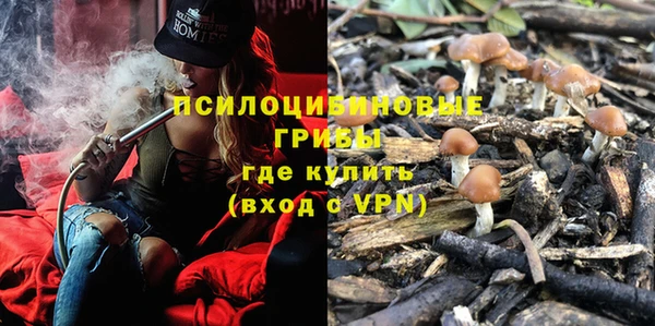 шишки Алексеевка
