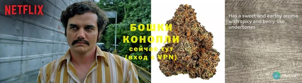 2c-b Абаза