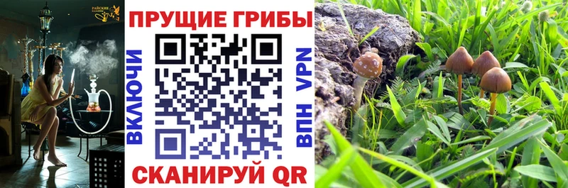 кракен рабочий сайт  Цимлянск  Псилоцибиновые грибы прущие грибы 
